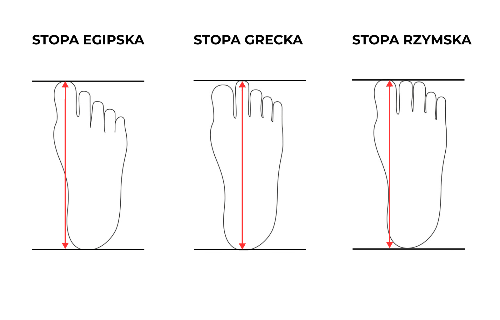 stopa-egipska-grecka-i-rzymska-jak-mierzy-stop-i-wybiera-obuwie